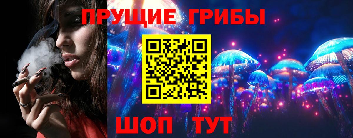 Галлюциногенные грибы Cubensis  Вход с VPN  Салехард  Псилоцибиновые грибы прущие грибы 